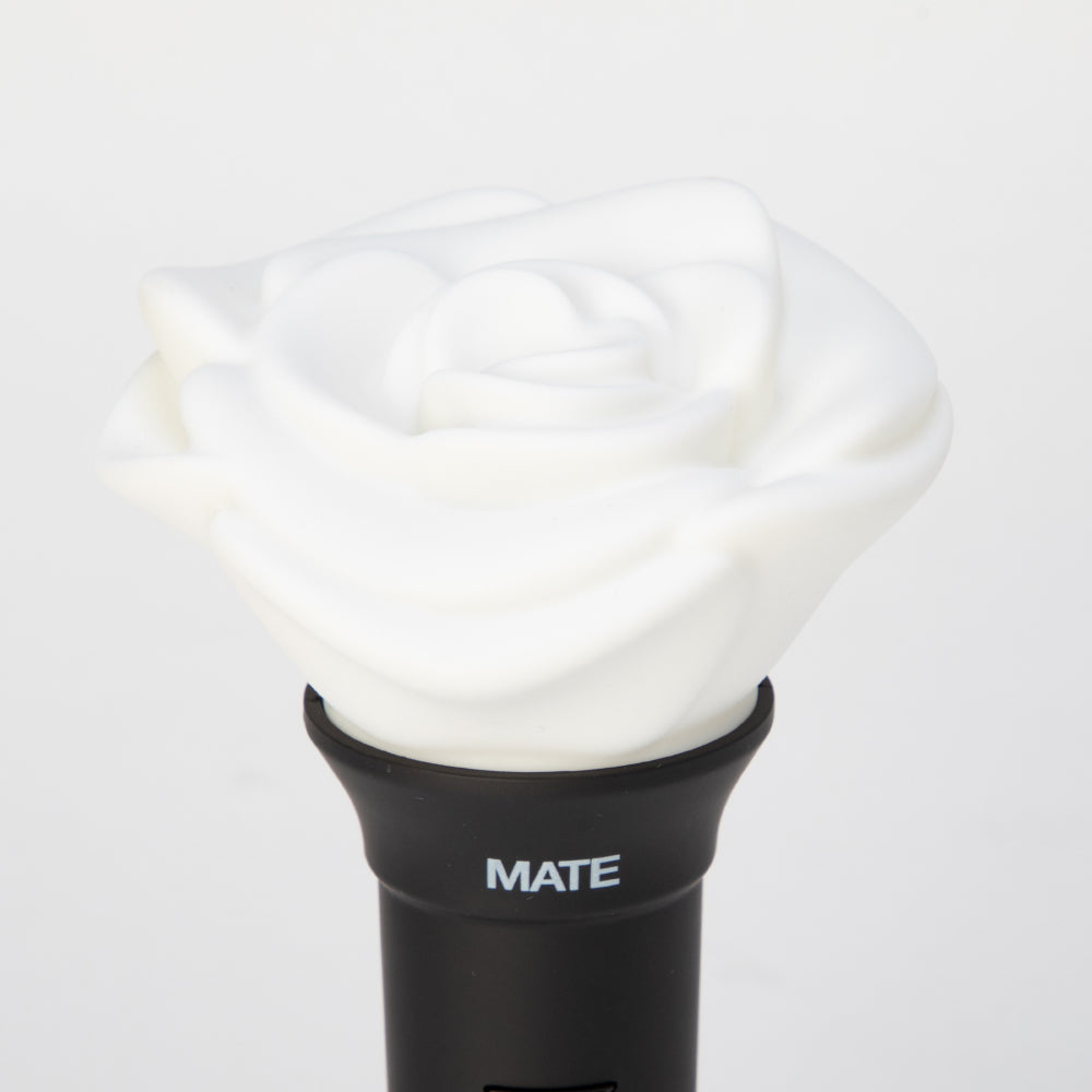 JSB3 Official “MATE” Light Stick